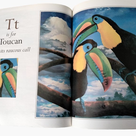 Amazon Alphabet  Book Martin Tanis Jordan Paperback Large Picture Book - Picture 5 of 9